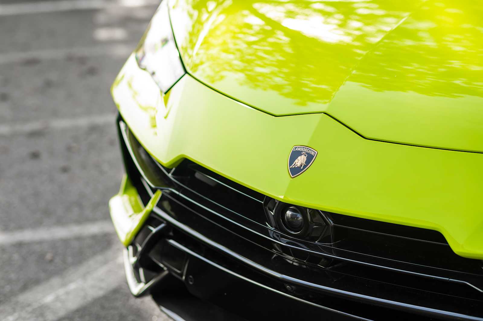 used 2024 Lamborghini Urus car, priced at $295,497