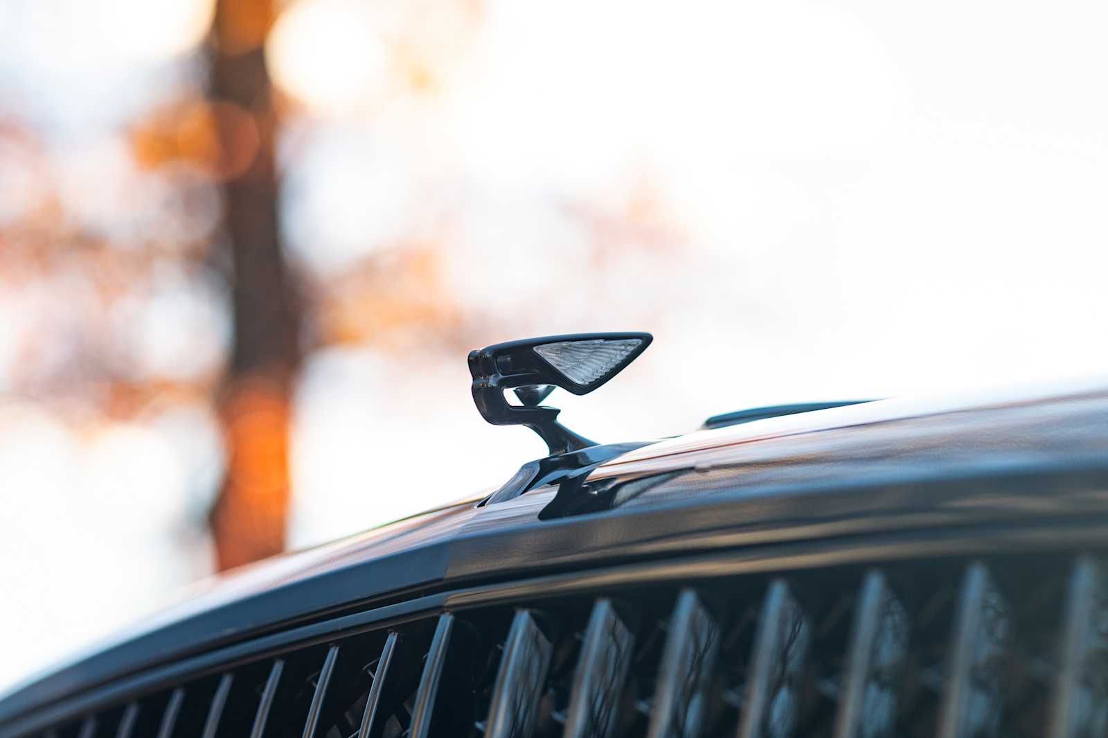 used 2023 Bentley Flying Spur car