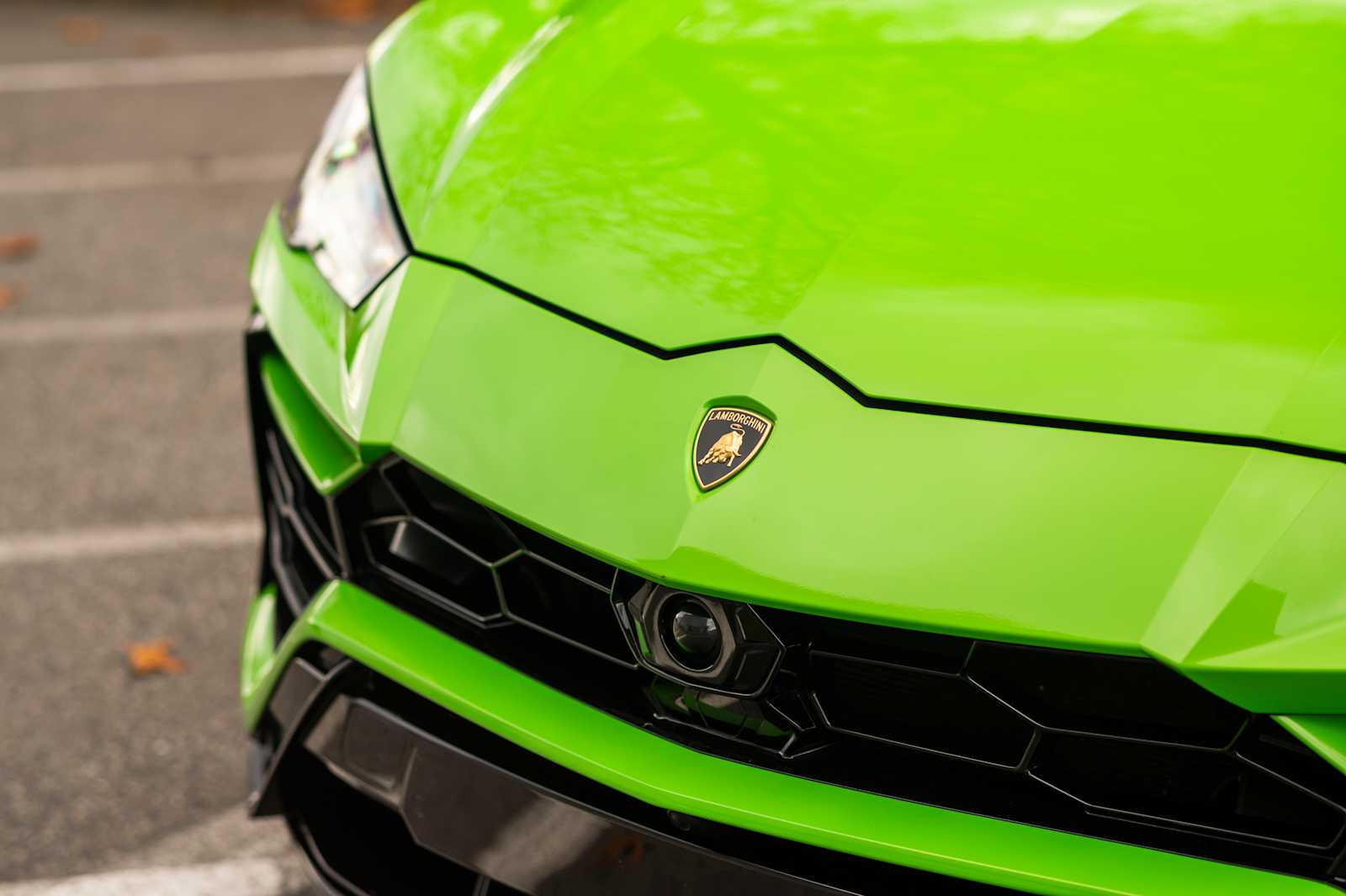 used 2021 Lamborghini Urus car, priced at $203,497