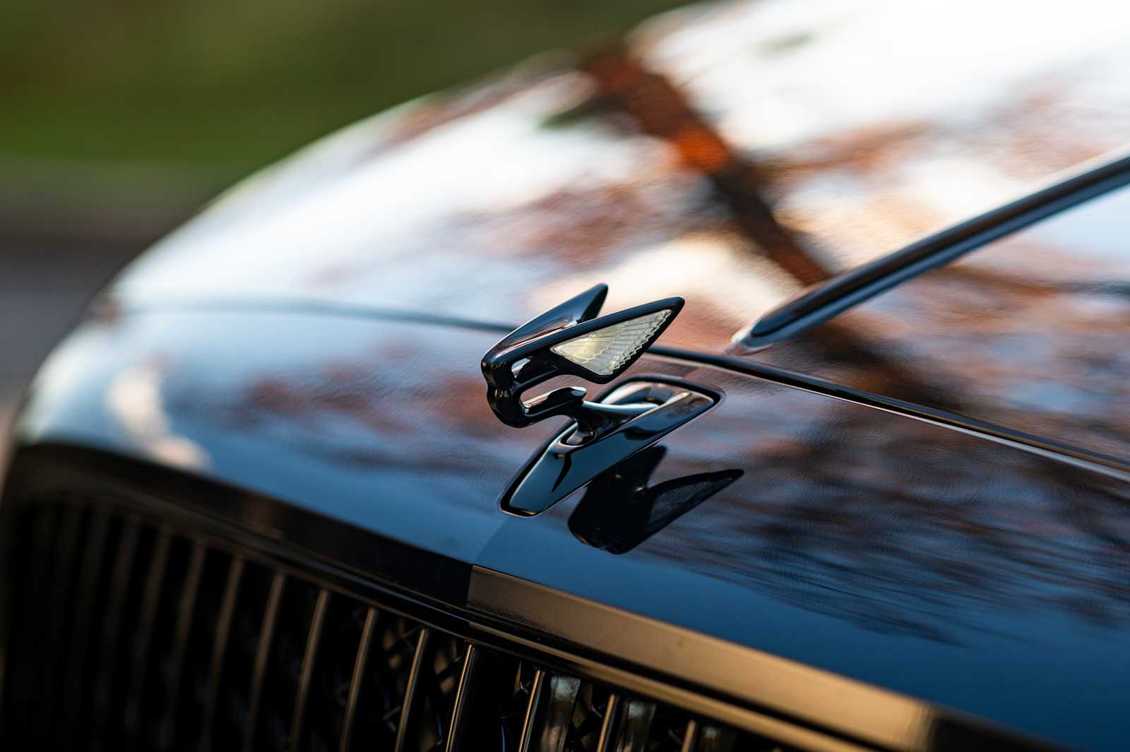 used 2023 Bentley Flying Spur car