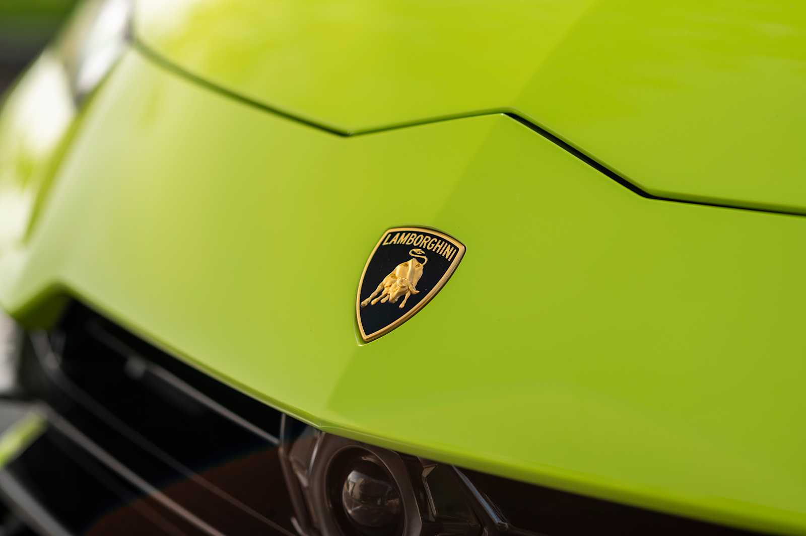 used 2024 Lamborghini Urus car, priced at $295,497