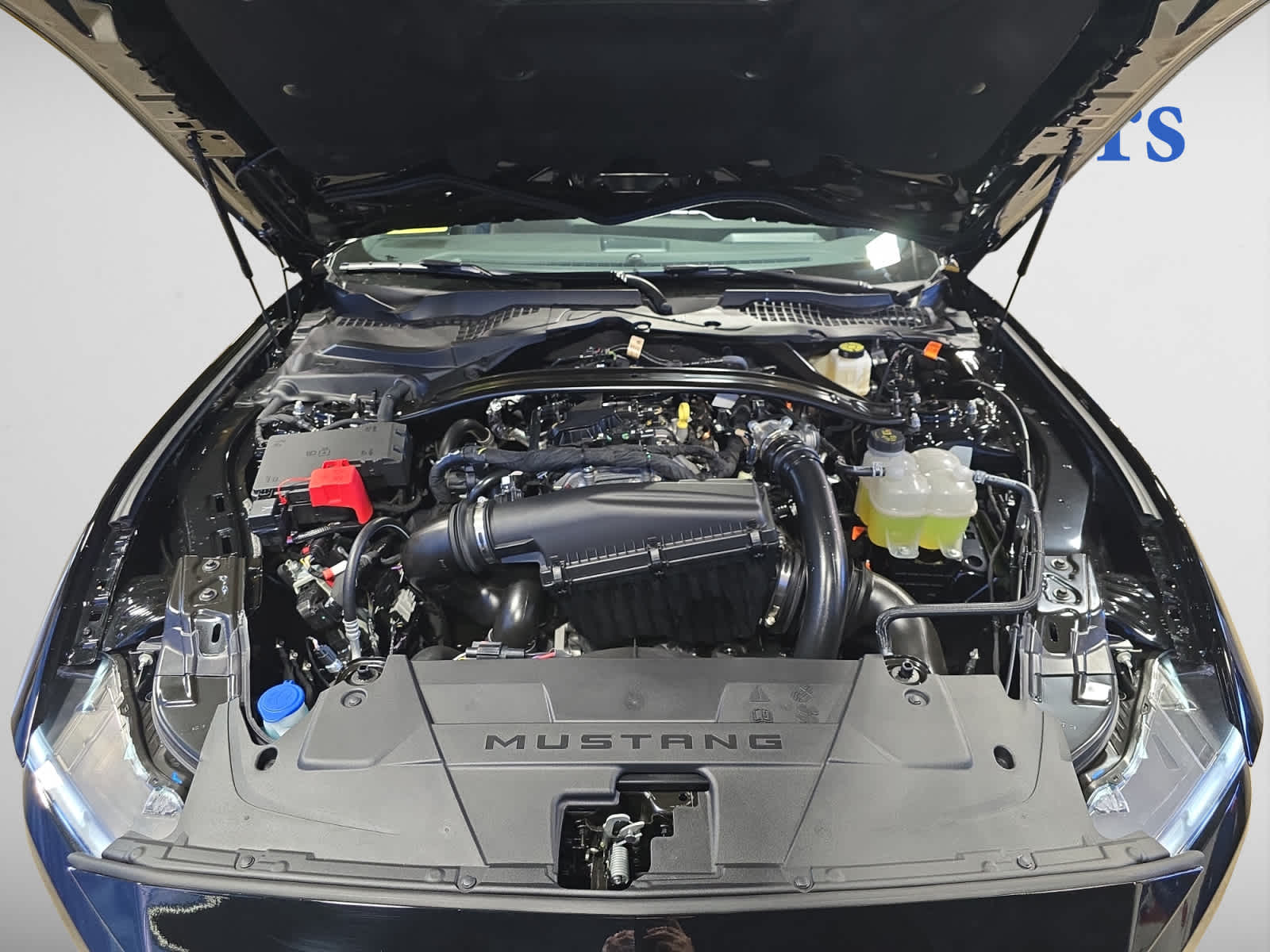 new 2025 Ford Mustang car, priced at $46,795