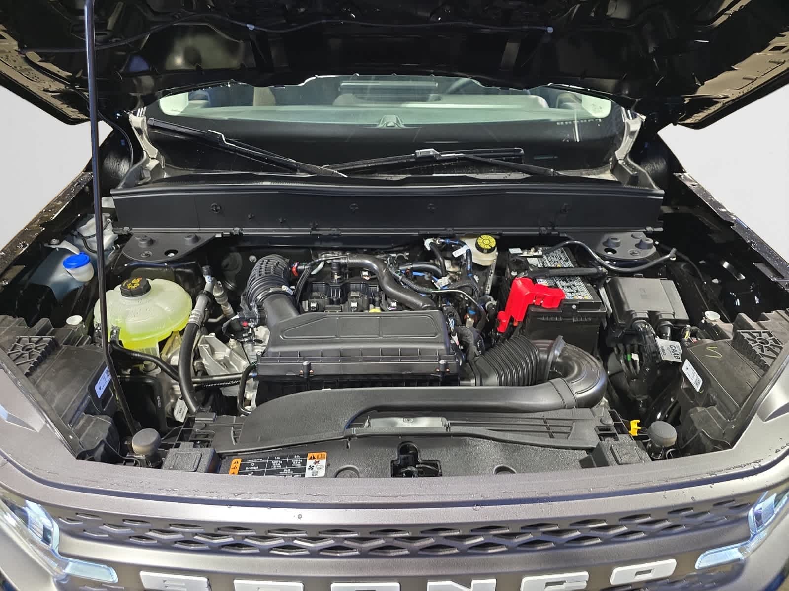 new 2025 Ford Bronco Sport car, priced at $31,995