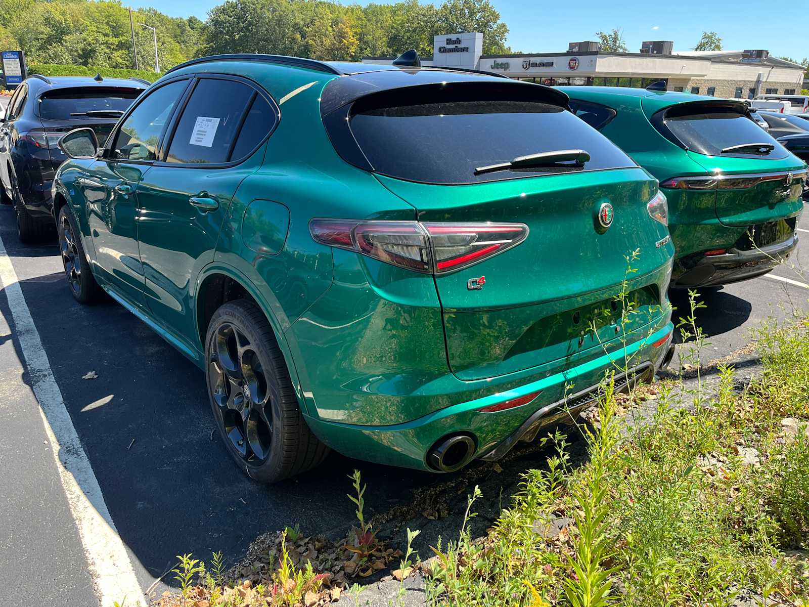 new 2025 Alfa Romeo Stelvio car, priced at $62,244