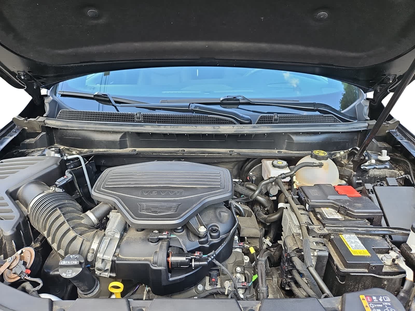used 2023 Cadillac XT5 car, priced at $33,988