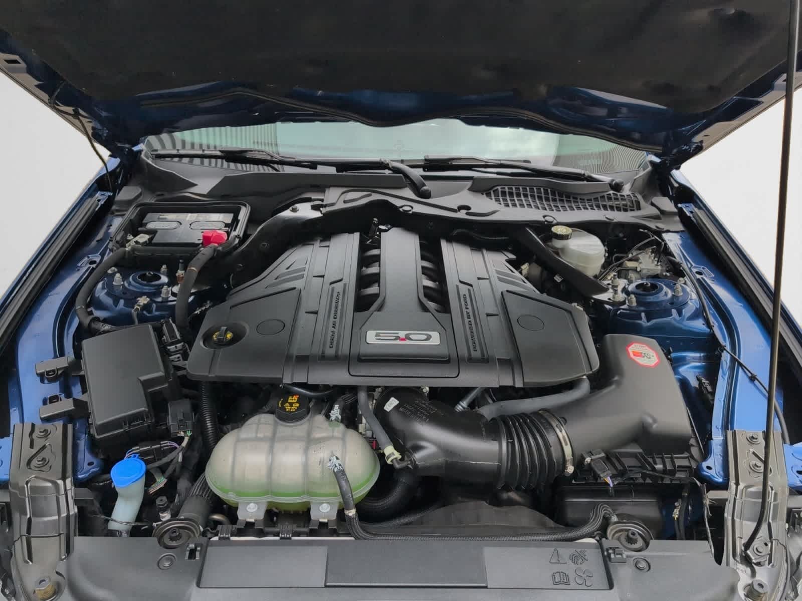 used 2022 Ford Mustang car, priced at $38,497