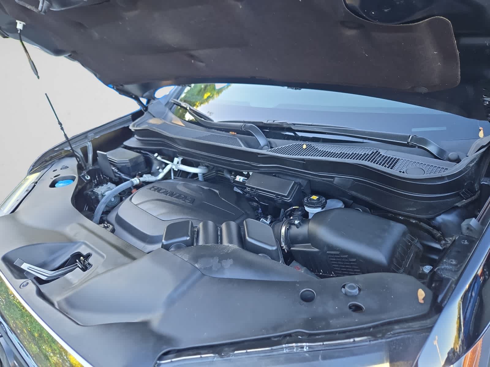 used 2023 Honda Passport car, priced at $34,497