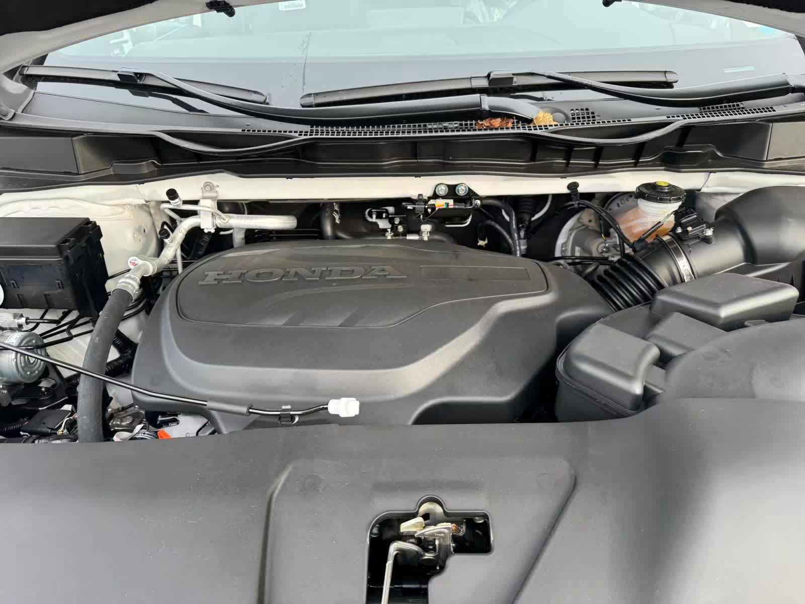 new 2026 Honda Odyssey car