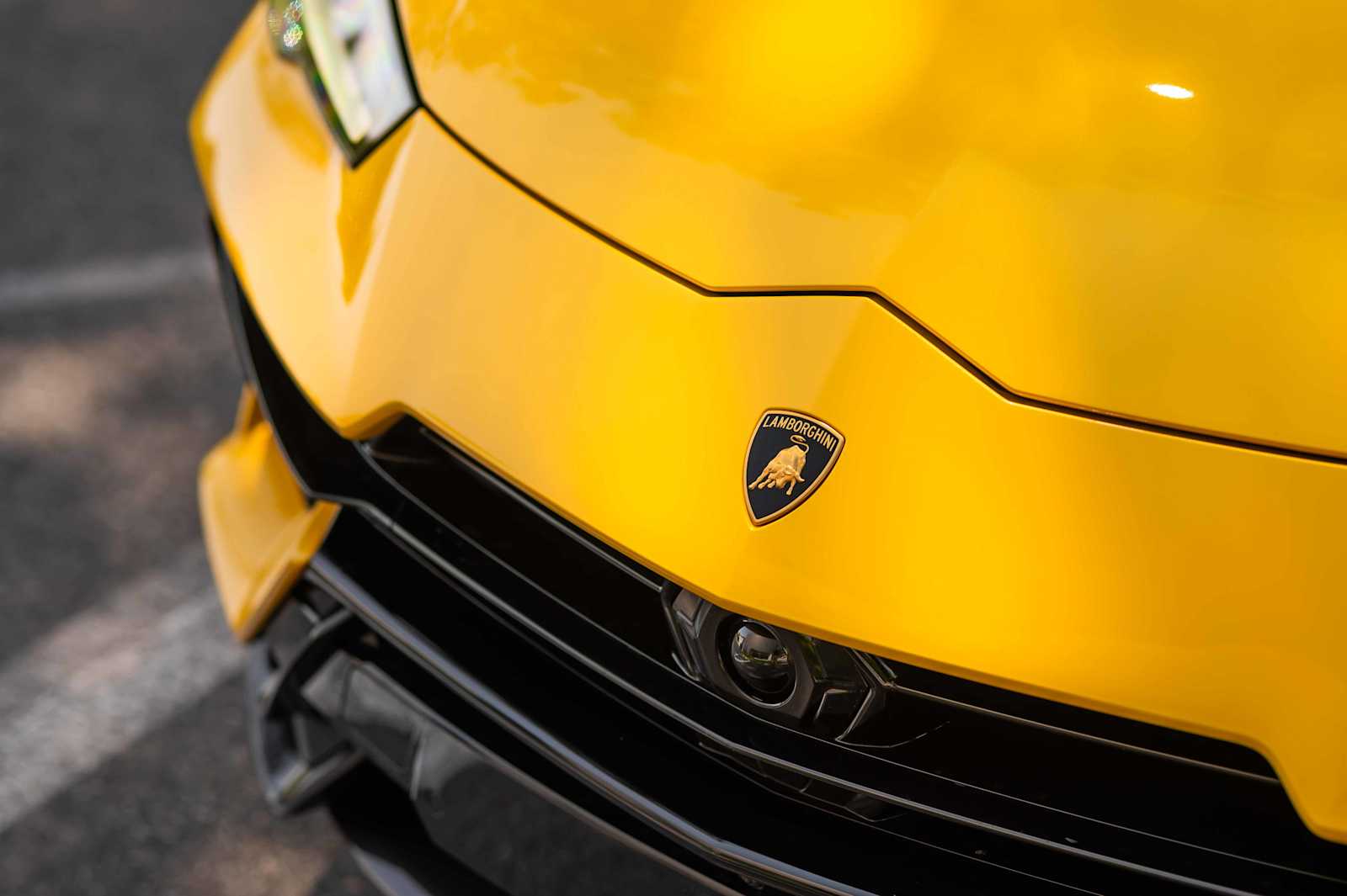 used 2024 Lamborghini Urus car, priced at $319,998