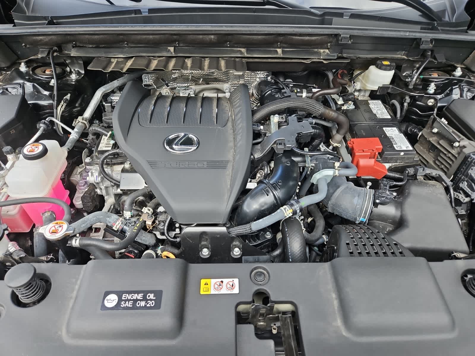 used 2024 Lexus NX 350 car, priced at $42,998