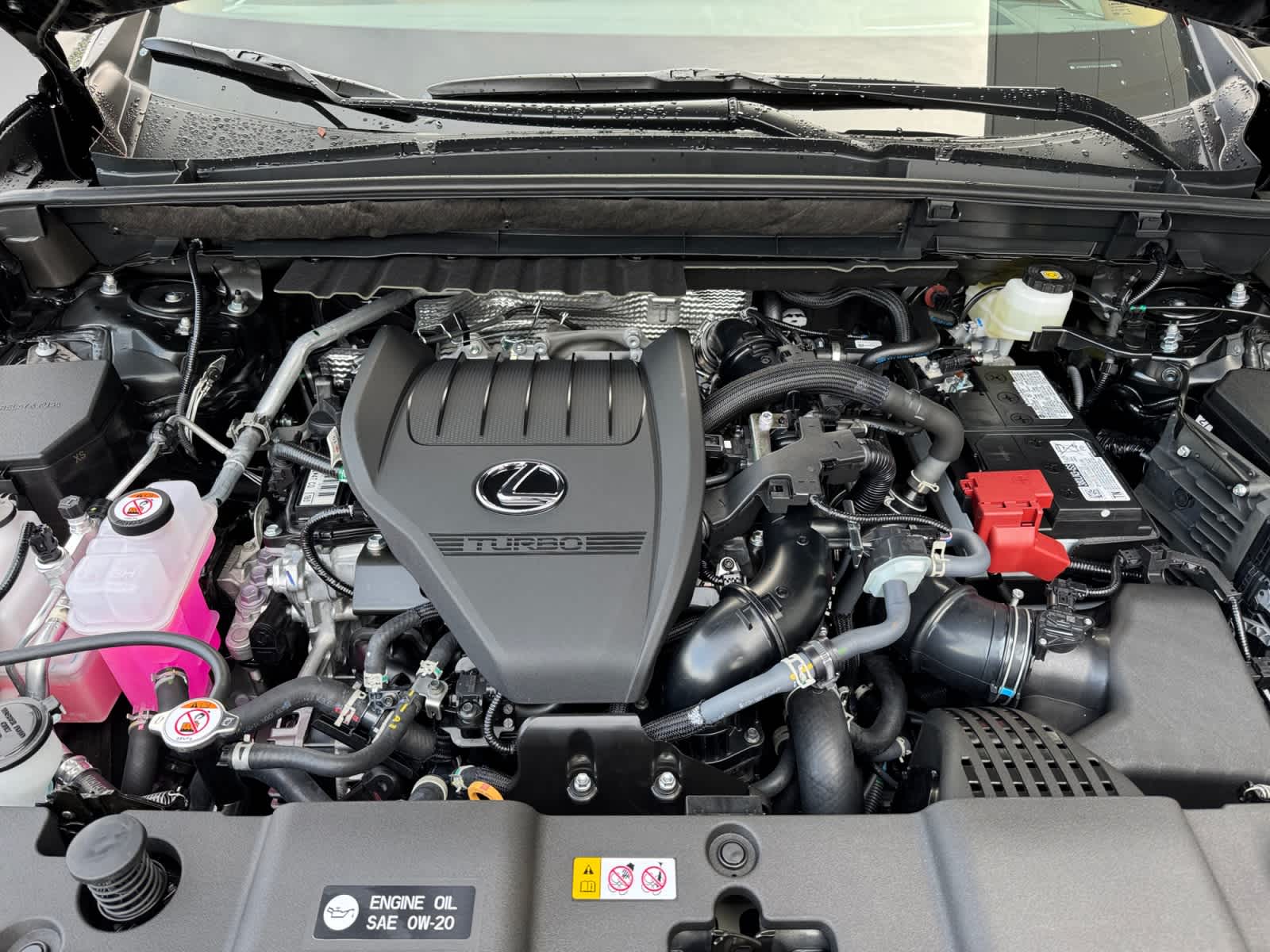 new 2026 Lexus NX 350 car
