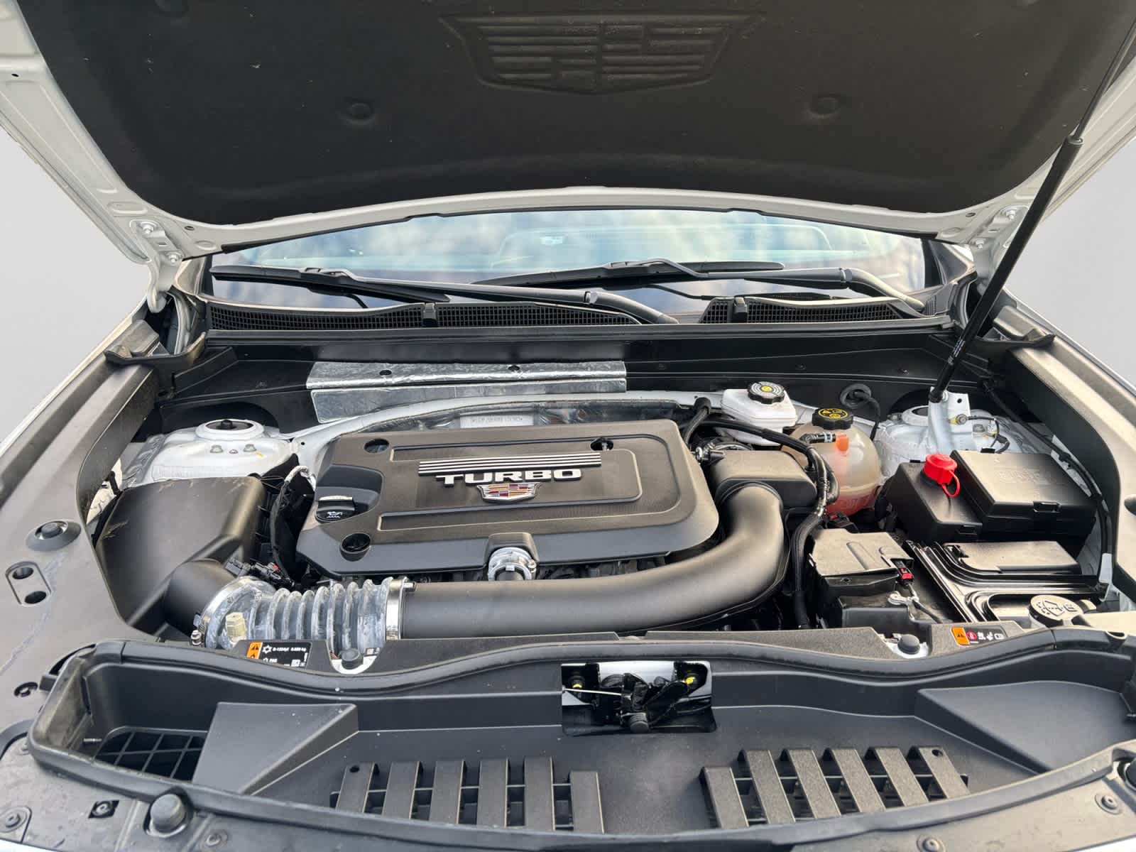 used 2024 Cadillac XT4 car, priced at $35,999