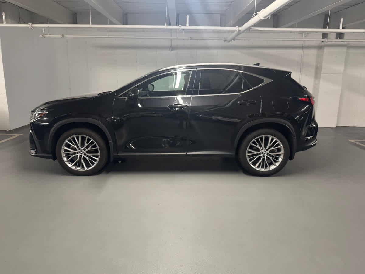 used 2024 Lexus NX car, priced at $47,998