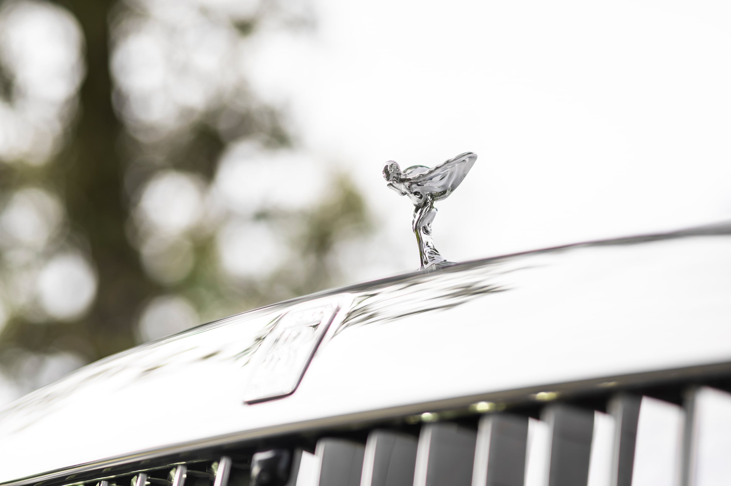 used 2024 Rolls-Royce Spectre car, priced at $384,998