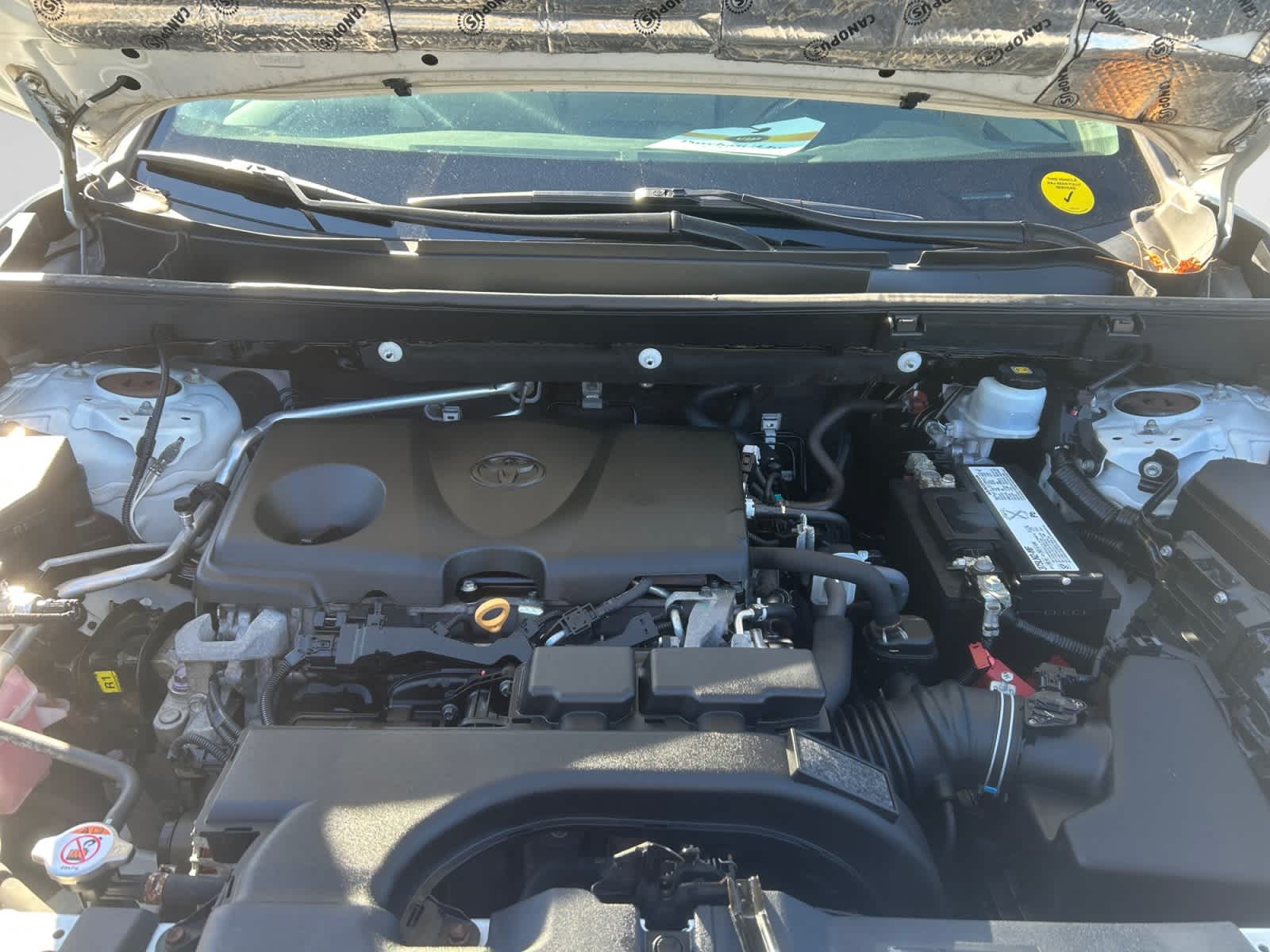 used 2019 Toyota RAV4 car, priced at $25,497