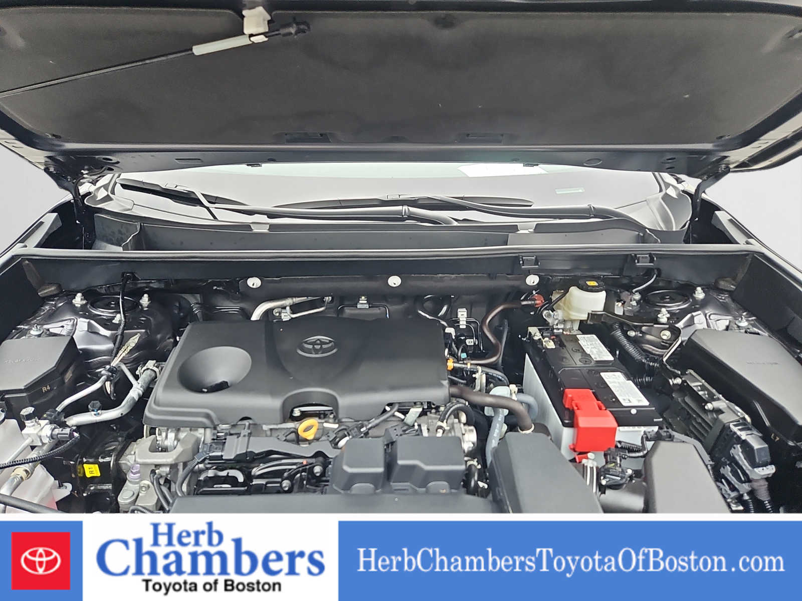 used 2024 Toyota RAV4 car, priced at $33,097