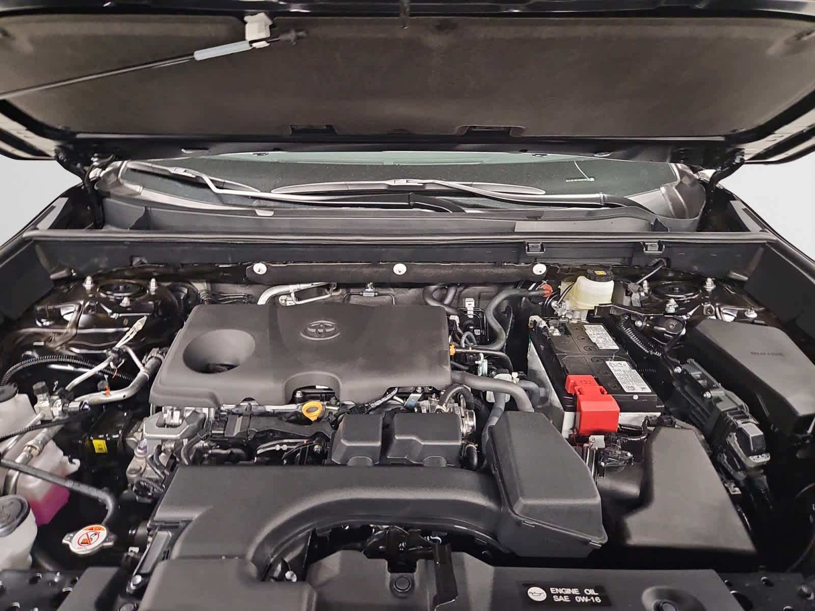new 2025 Toyota RAV4 car, priced at $35,504