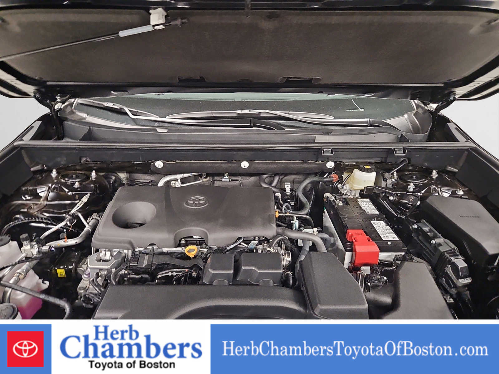 new 2025 Toyota RAV4 car, priced at $35,504