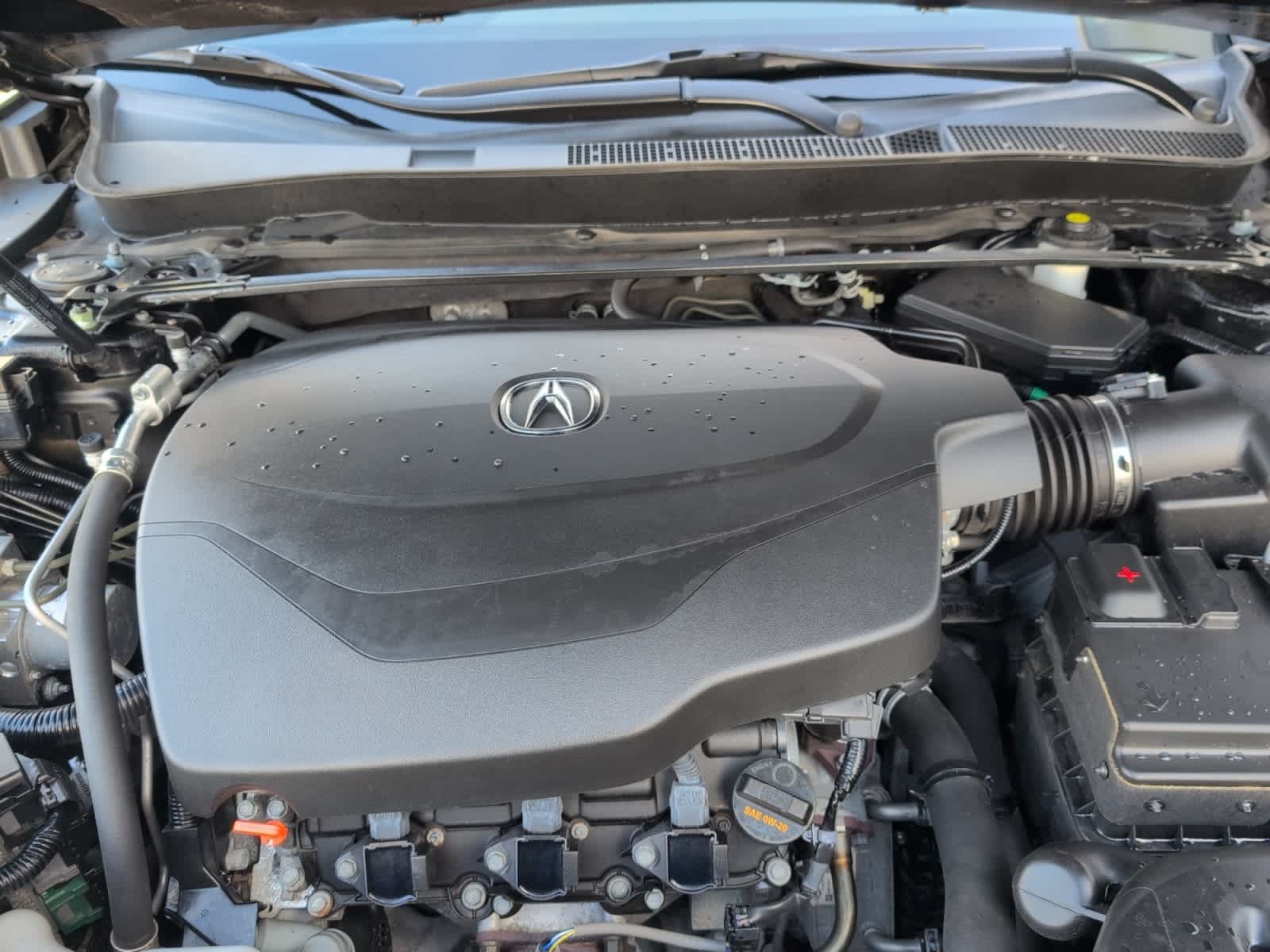 used 2019 Acura TLX car, priced at $24,998