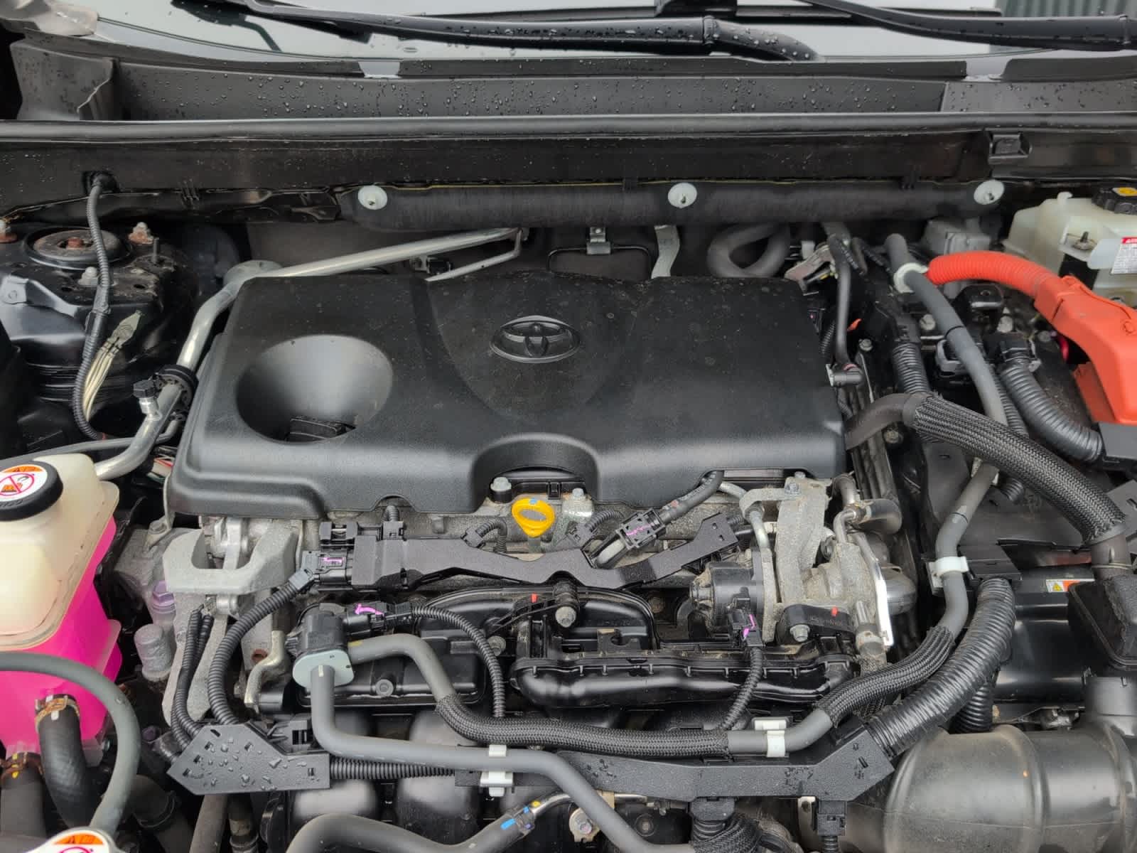 used 2019 Toyota RAV4 Hybrid car, priced at $19,998