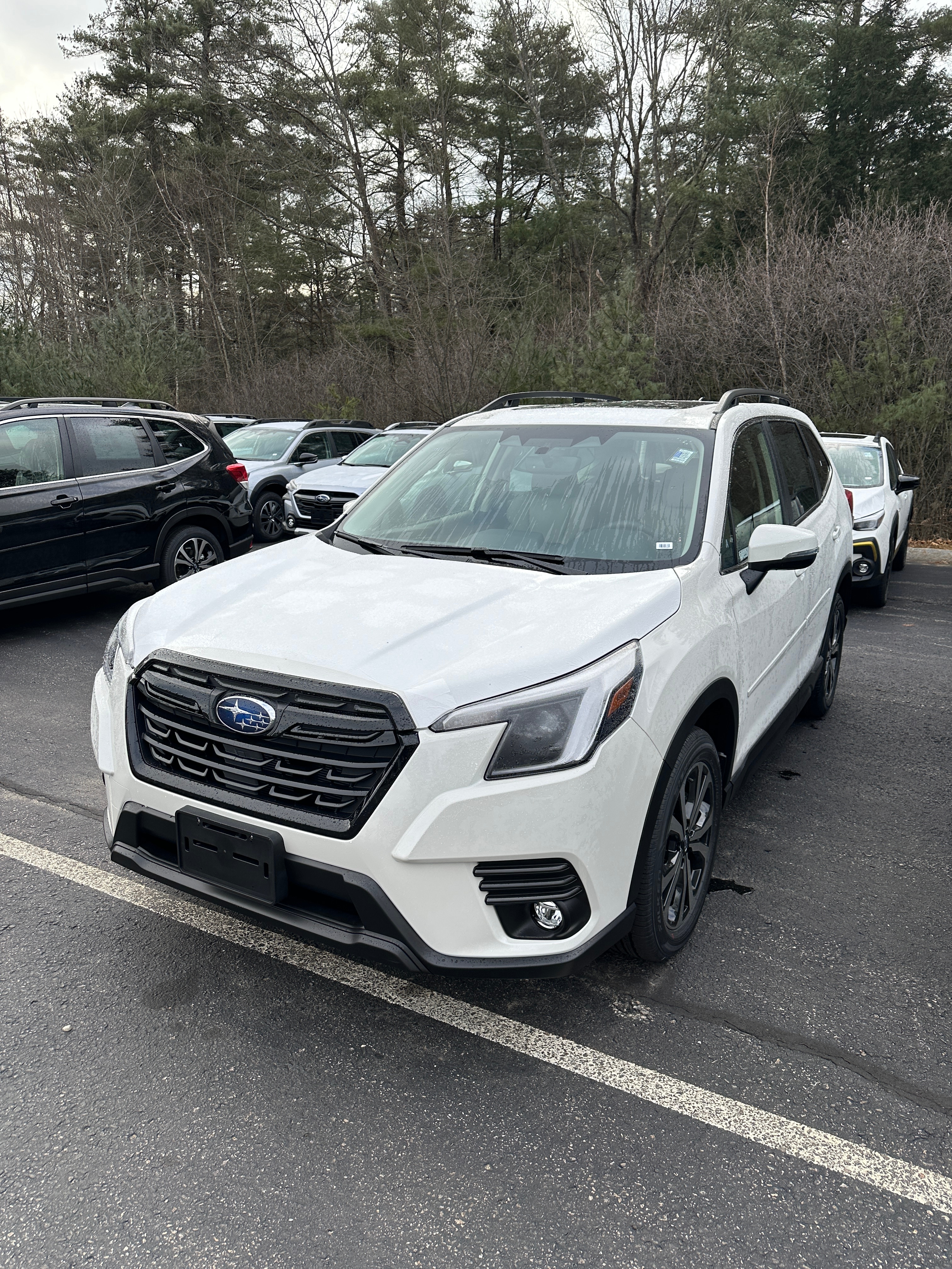 new 2024 Subaru Forester car, priced at $36,449