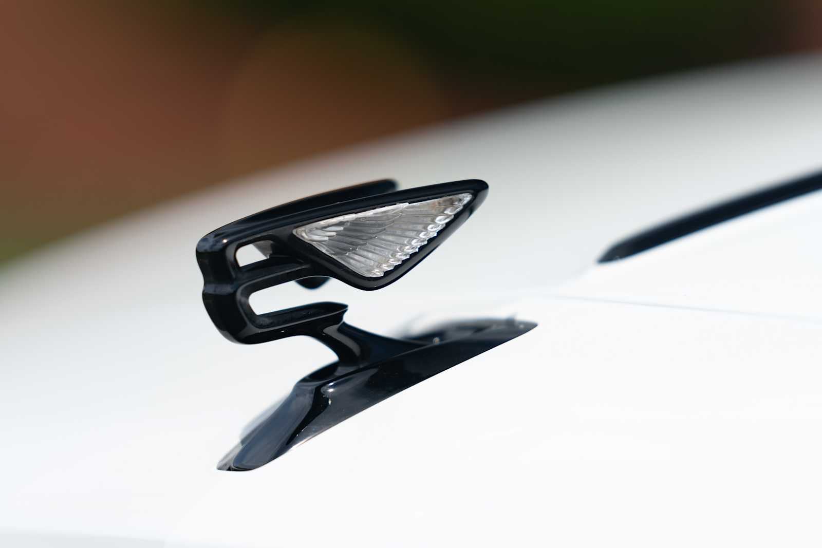 used 2023 Bentley Flying Spur car