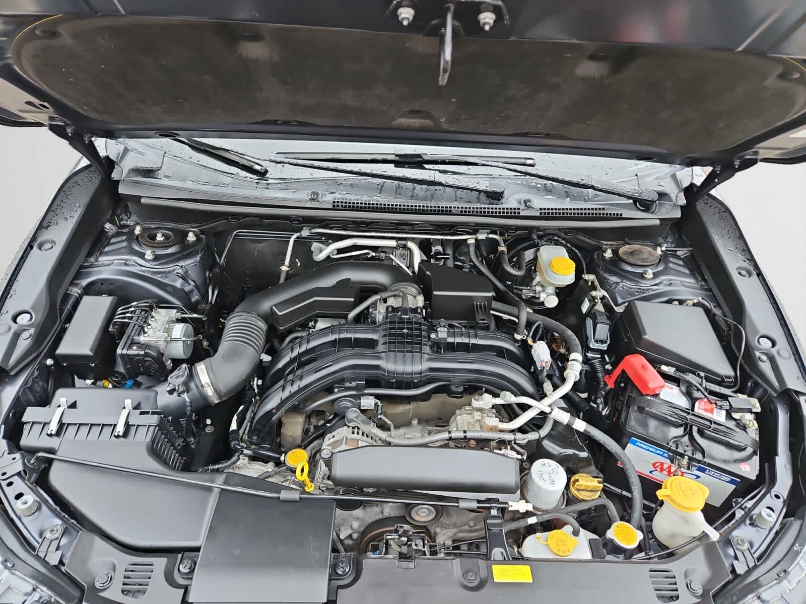 used 2019 Subaru Crosstrek car, priced at $19,498