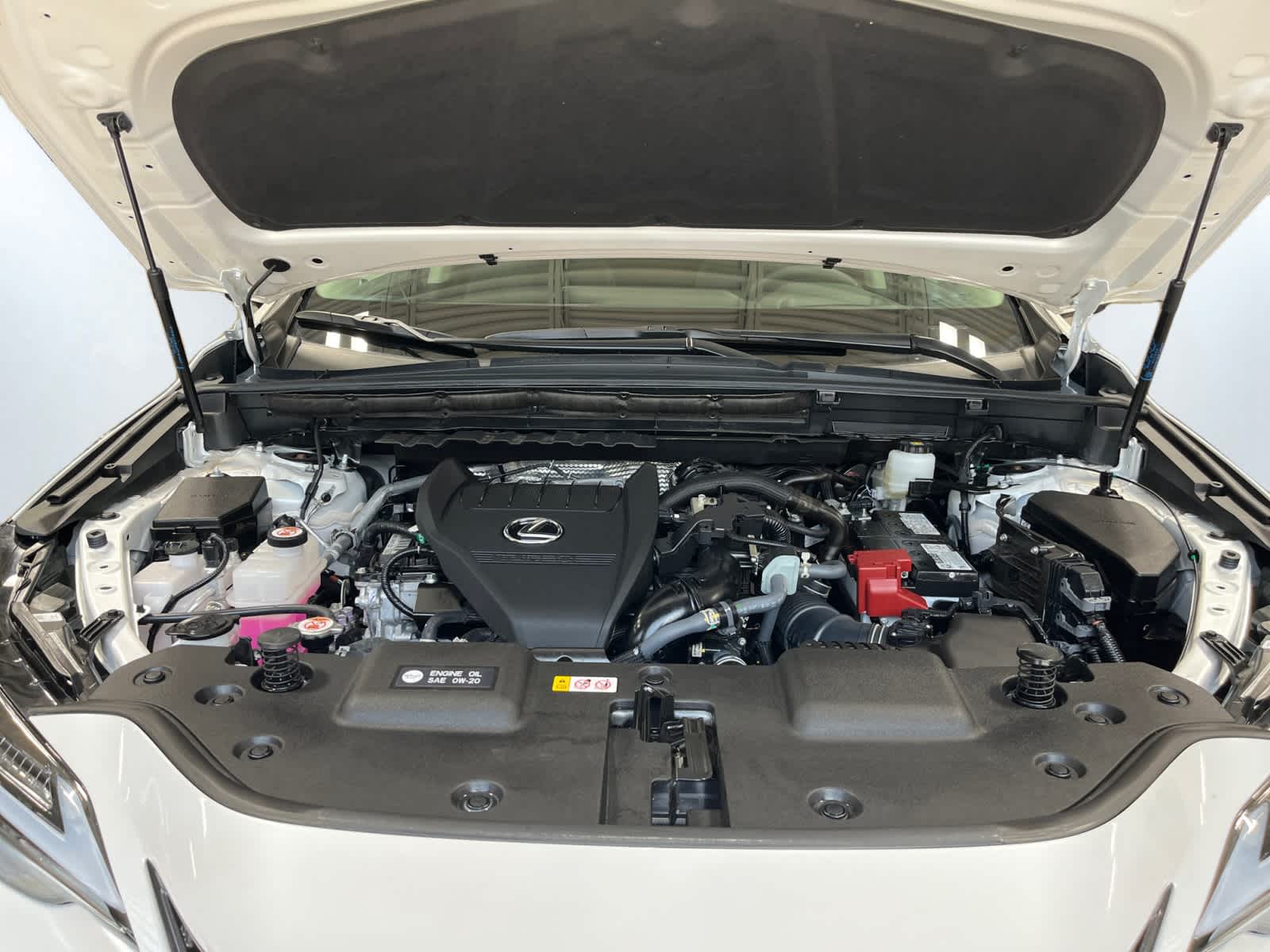 used 2025 Lexus NX 350 car, priced at $49,999