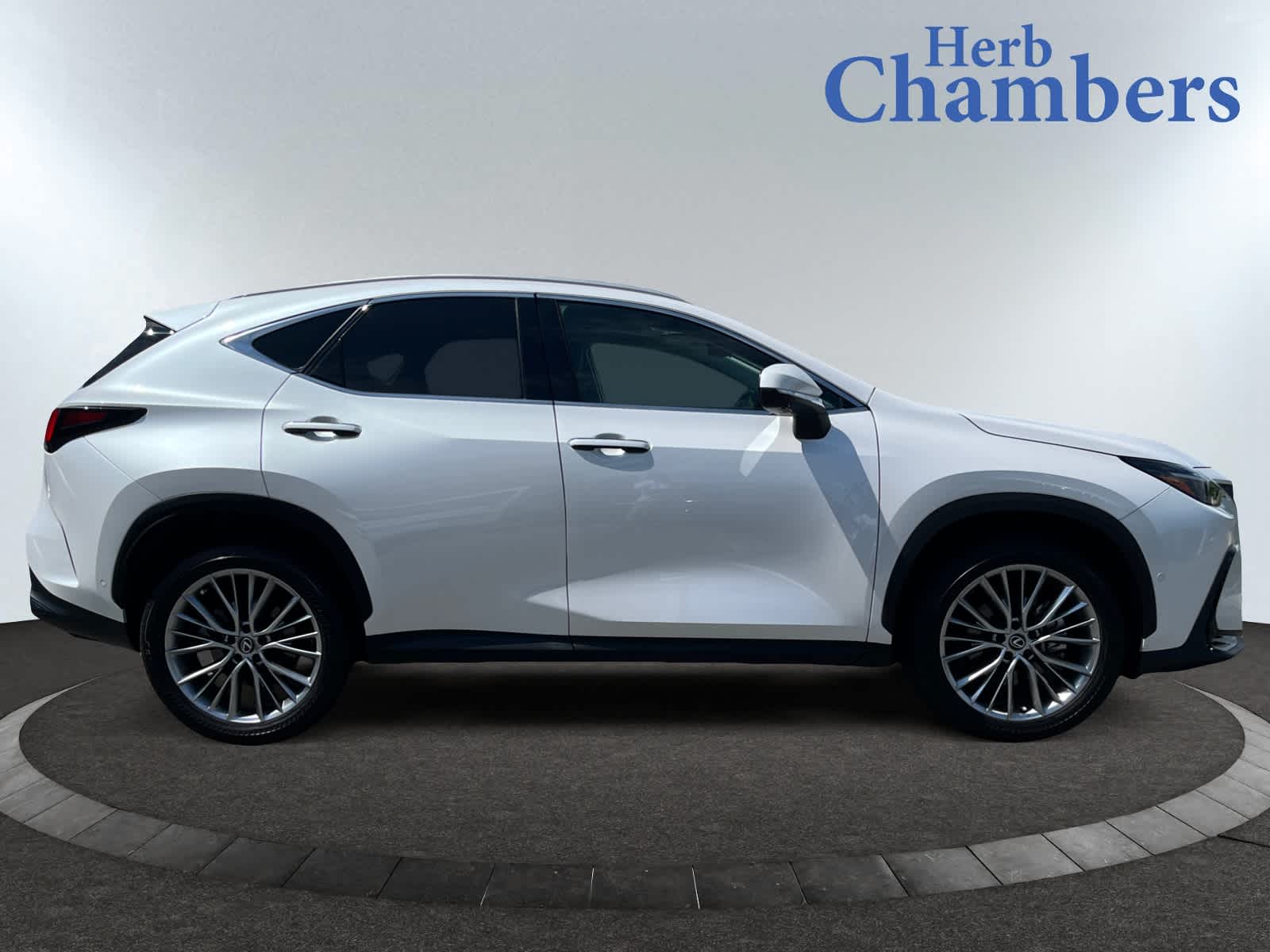 used 2025 Lexus NX 350 car, priced at $49,999