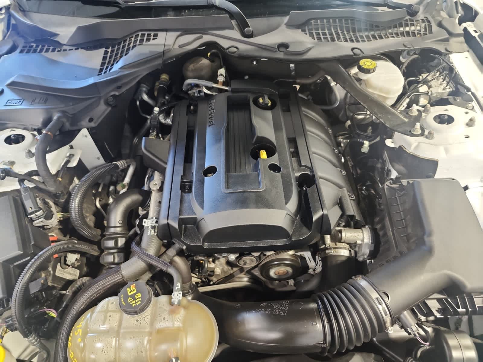 used 2018 Ford Mustang car, priced at $19,997