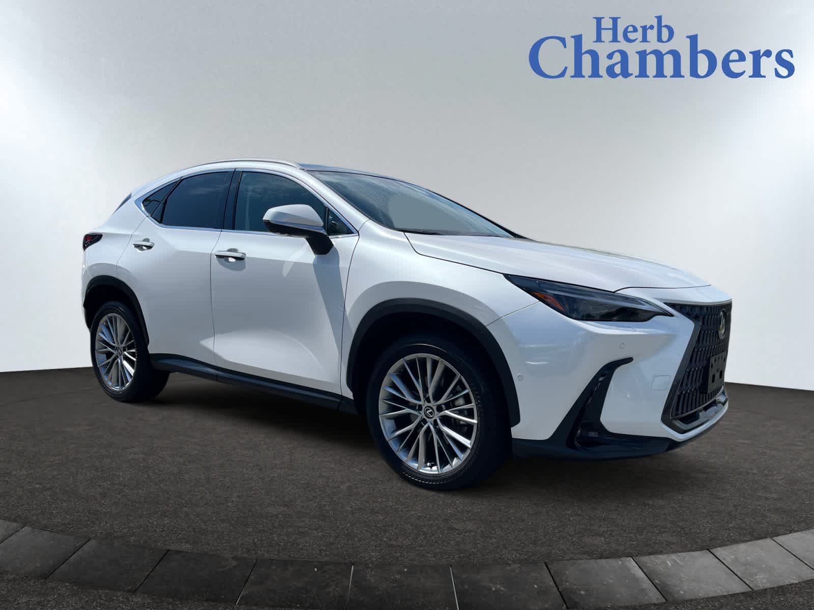 used 2025 Lexus NX 350 car, priced at $49,999