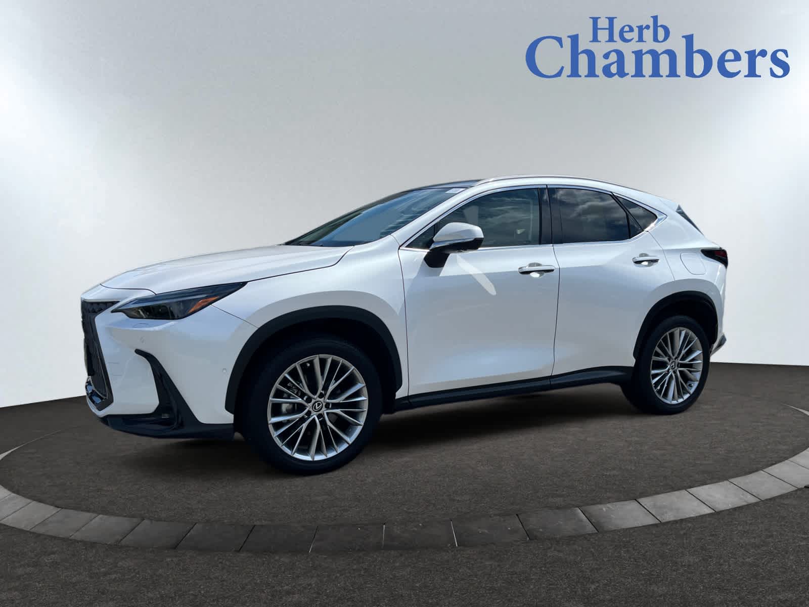 used 2025 Lexus NX 350 car, priced at $49,999