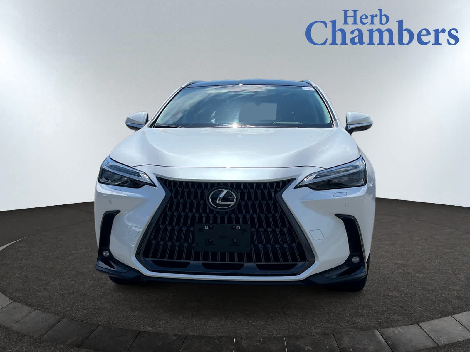 used 2025 Lexus NX 350 car, priced at $49,999