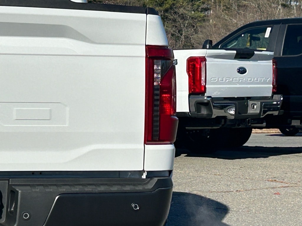 new 2024 Ford F-150 car