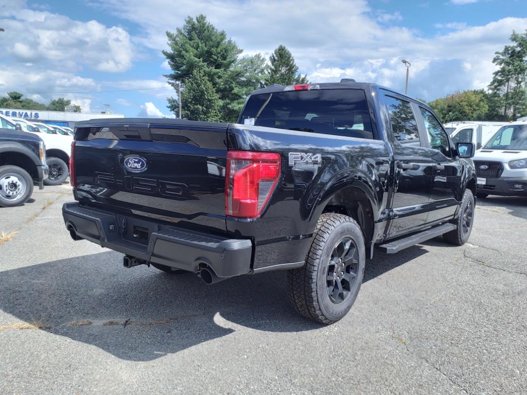 new 2024 Ford F-150 car