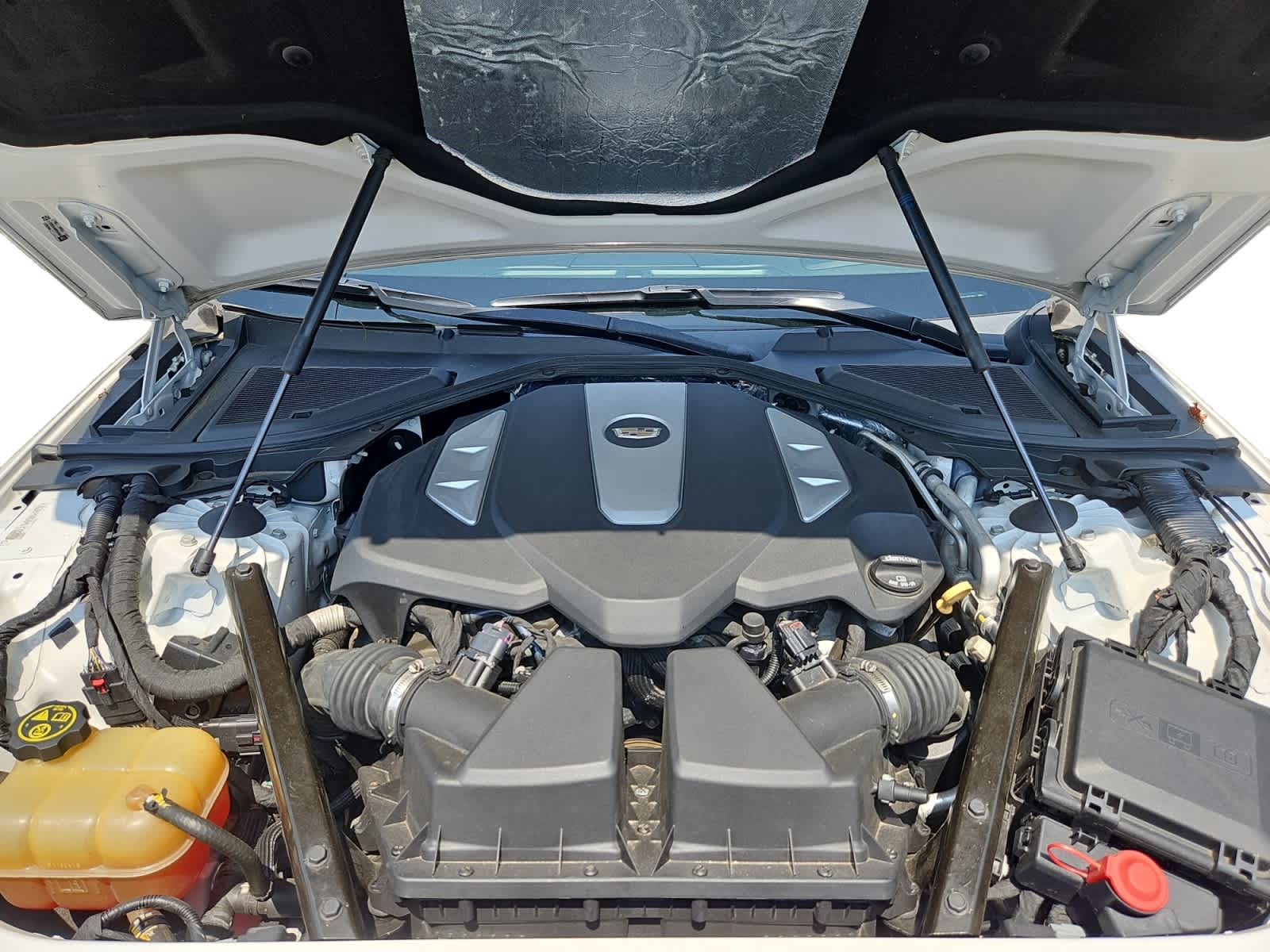 used 2019 Cadillac CT6 car, priced at $35,998