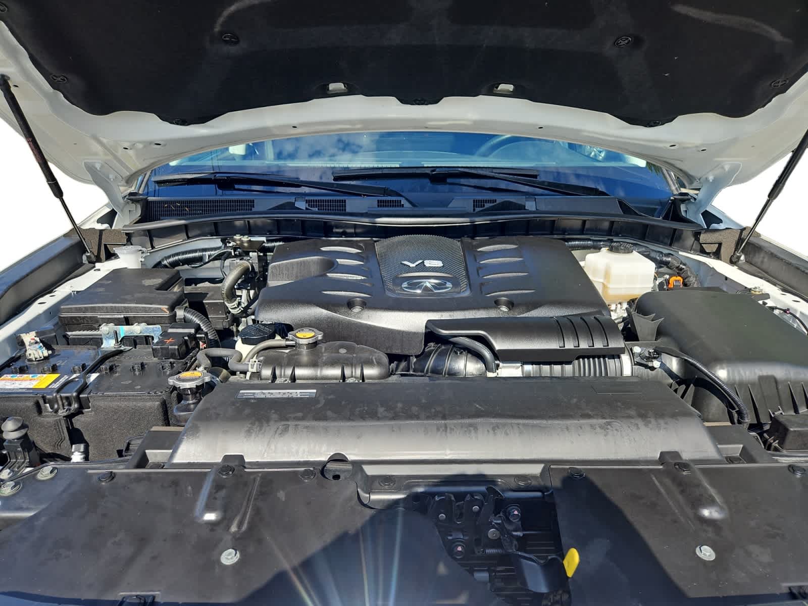 used 2024 INFINITI QX80 car