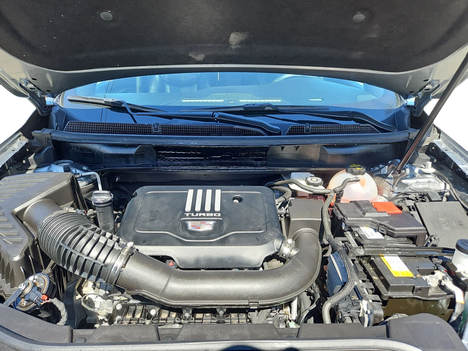 used 2024 Cadillac XT5 car, priced at $38,998