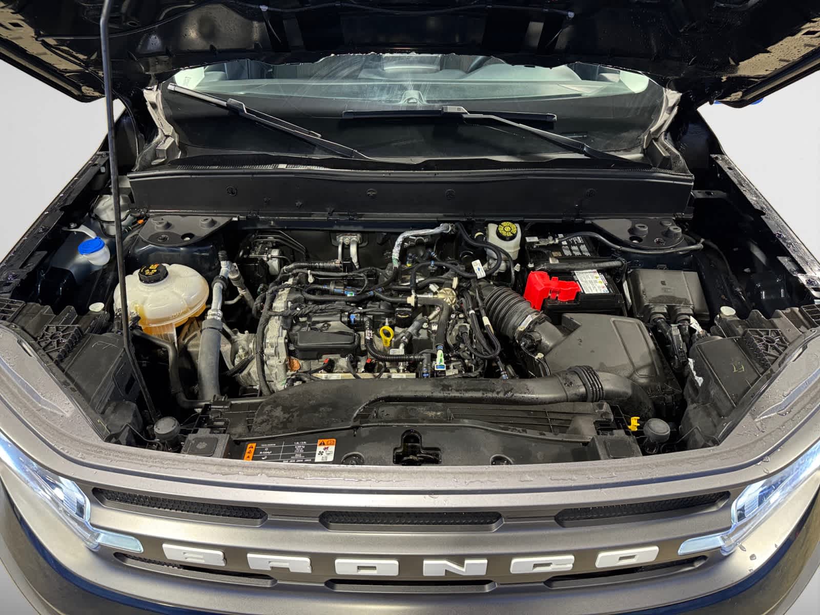 used 2022 Ford Bronco Sport car, priced at $24,988