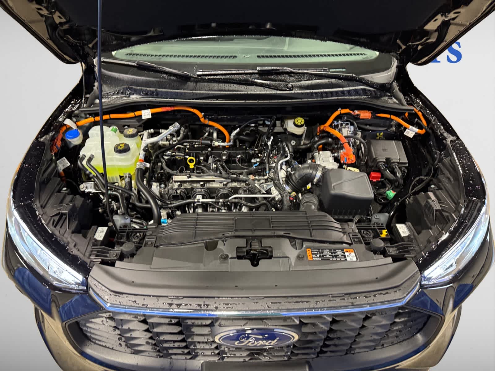 new 2025 Ford Escape car, priced at $36,252