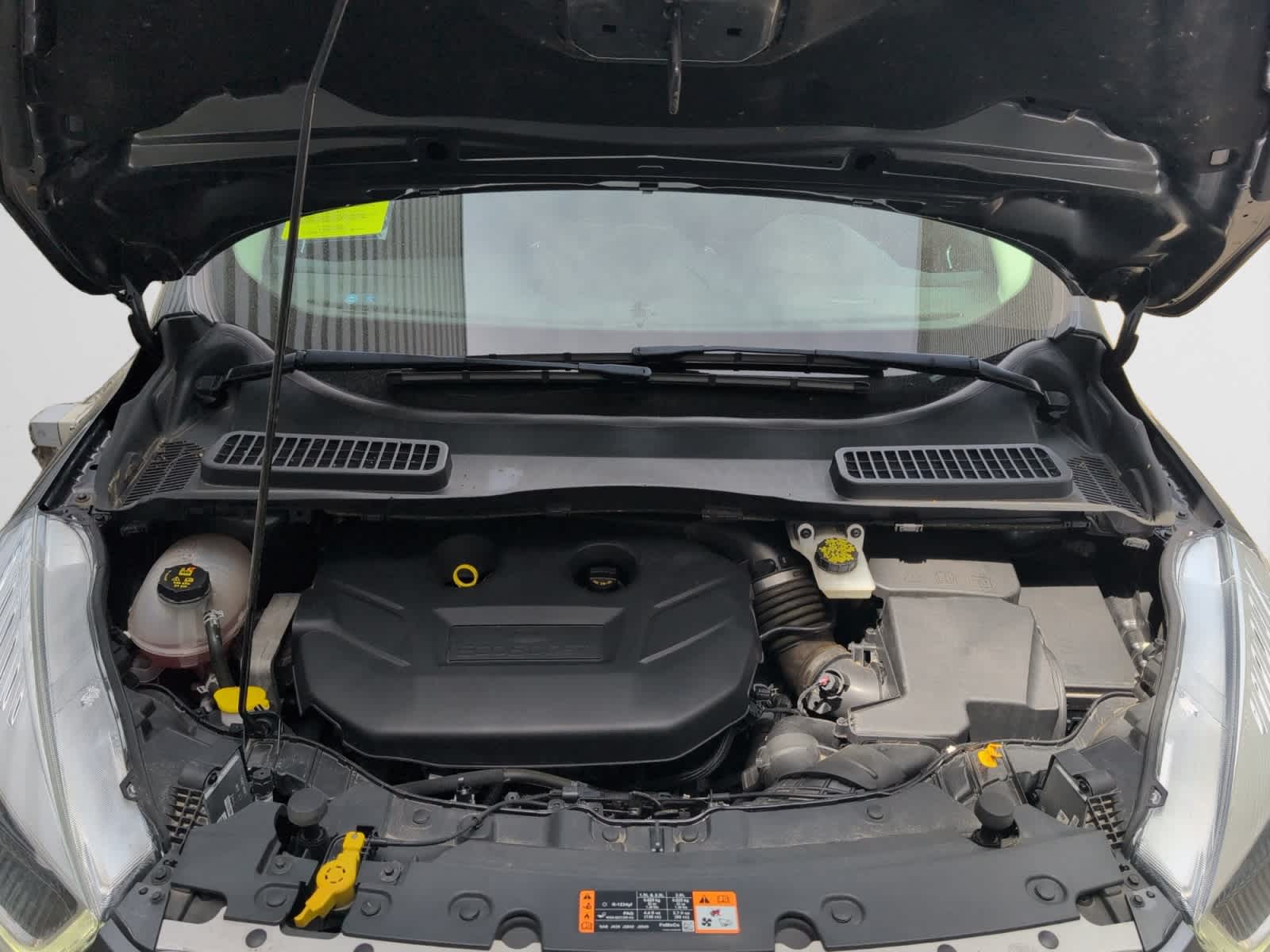 used 2019 Ford Escape car, priced at $20,998