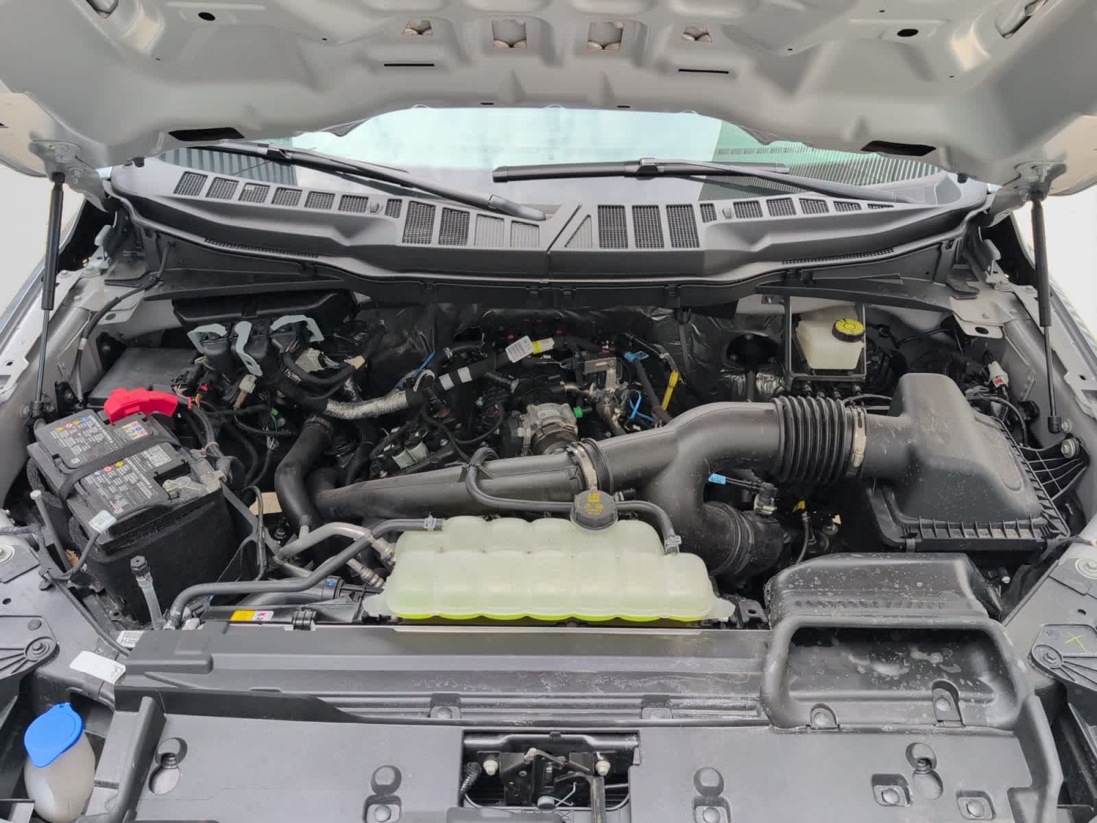 used 2024 Ford F-150 car