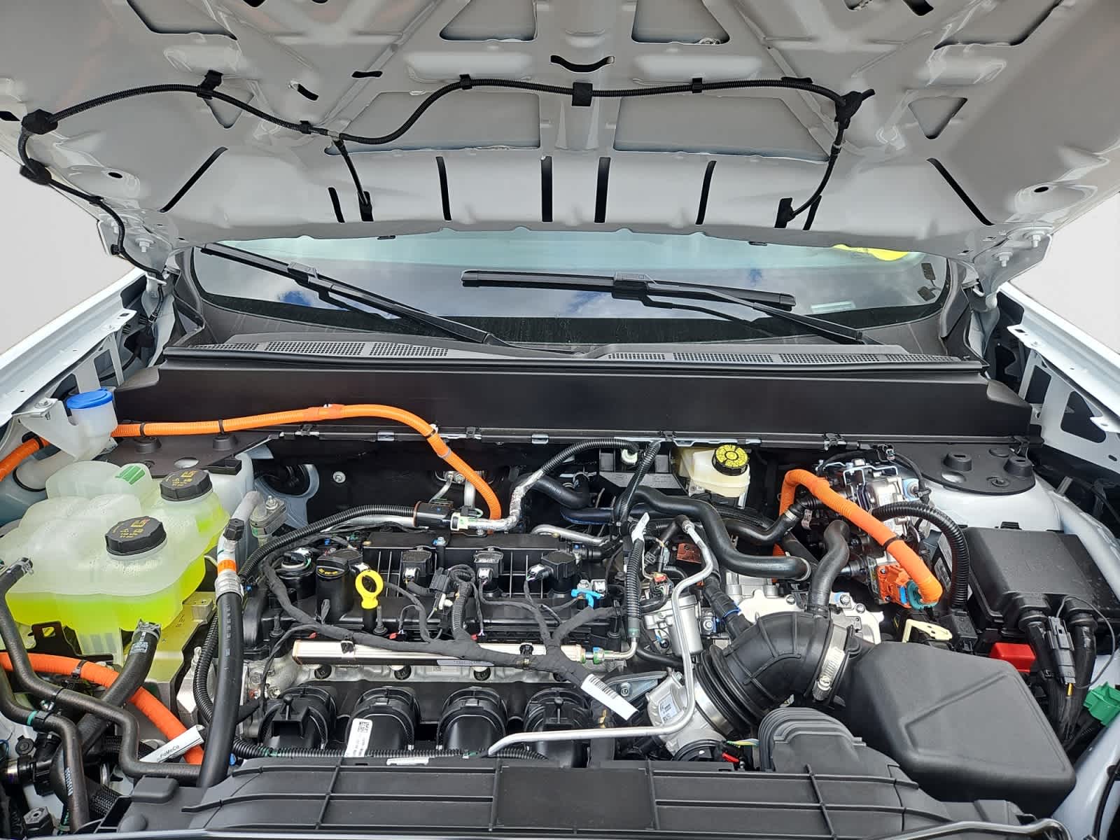new 2025 Ford Maverick car, priced at $29,520