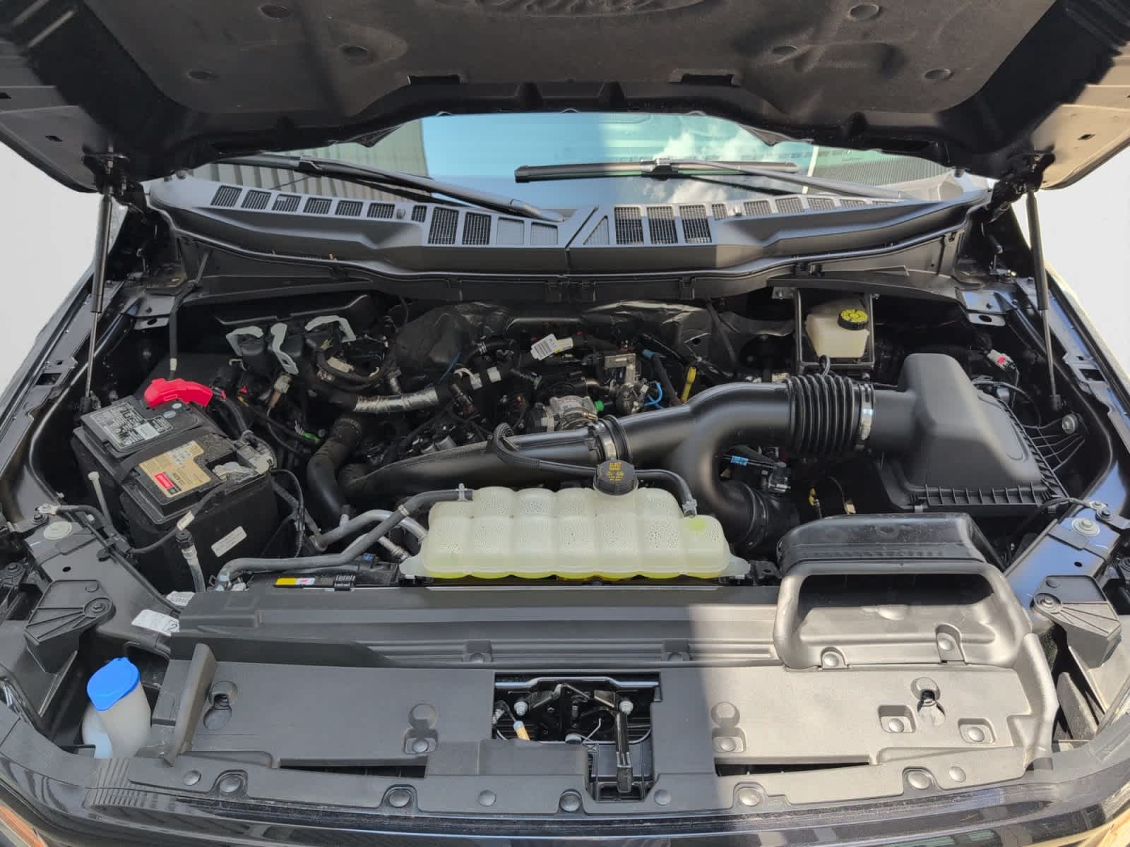used 2024 Ford F-150 car
