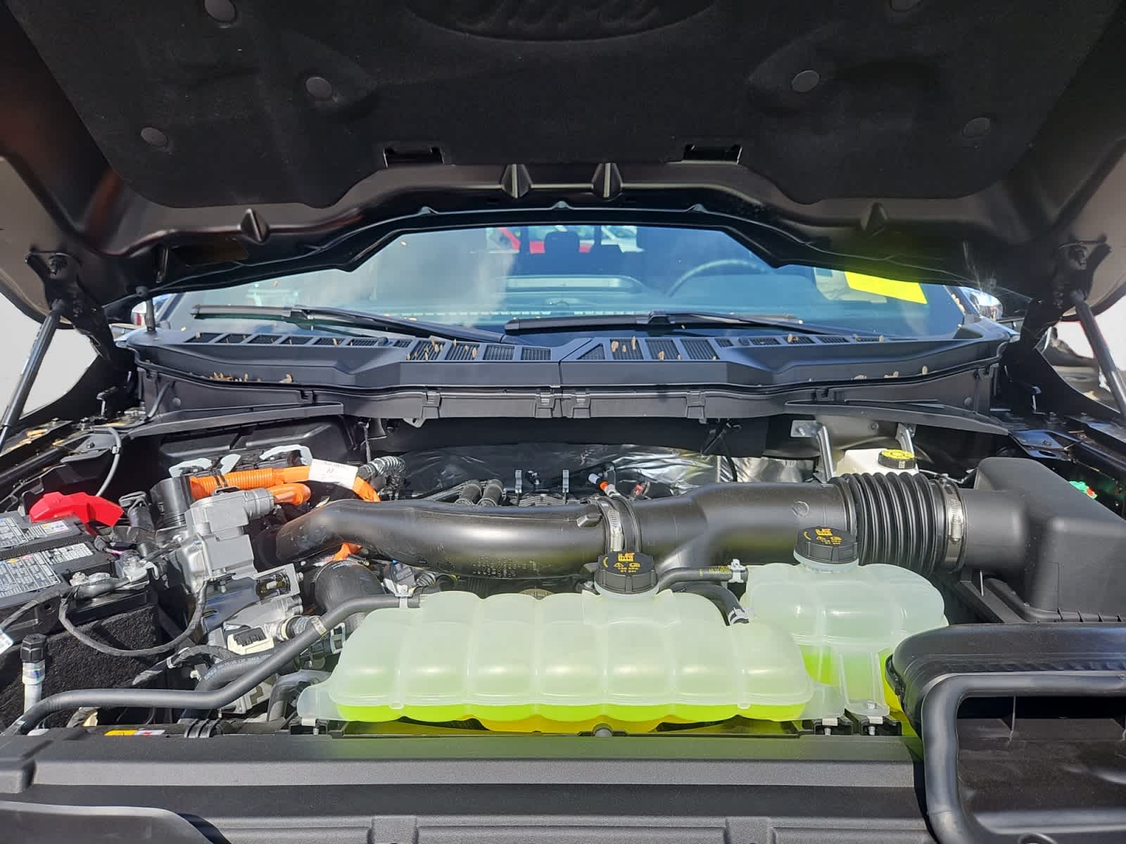 new 2025 Ford F-150 car, priced at $65,465