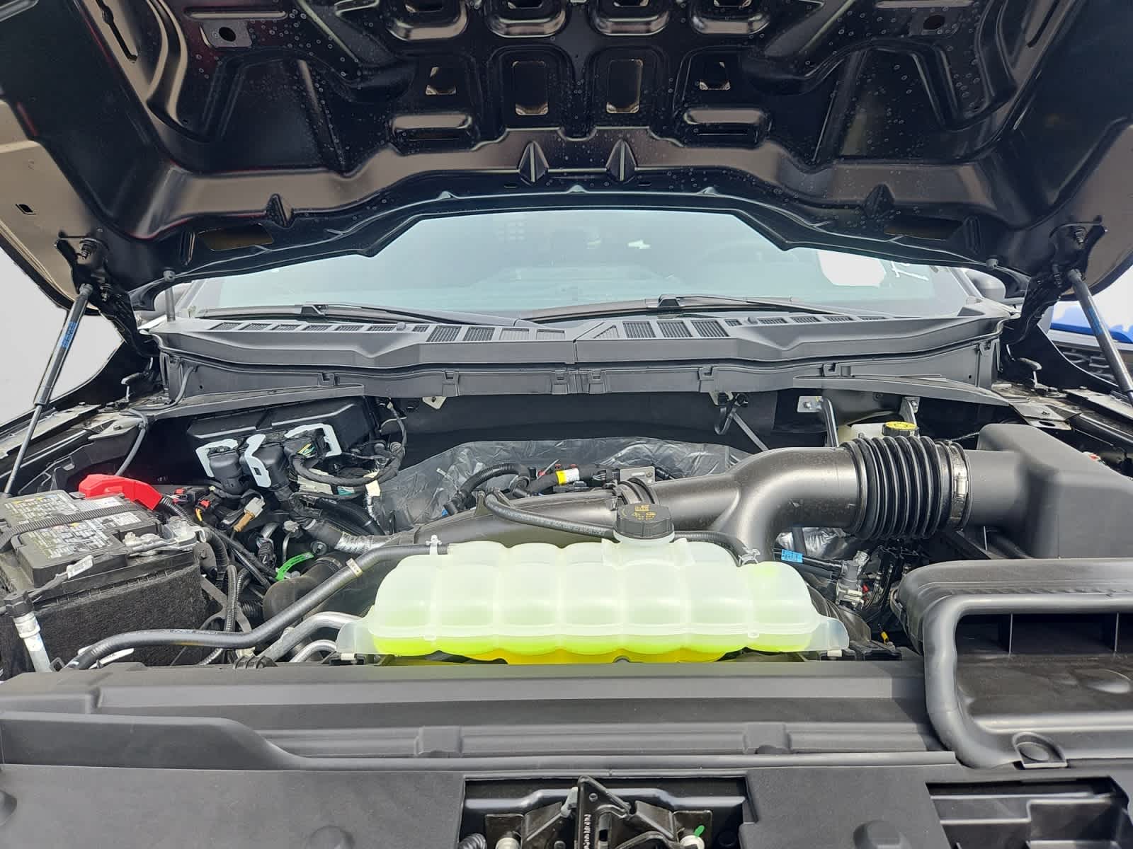 new 2025 Ford F-150 car, priced at $49,507