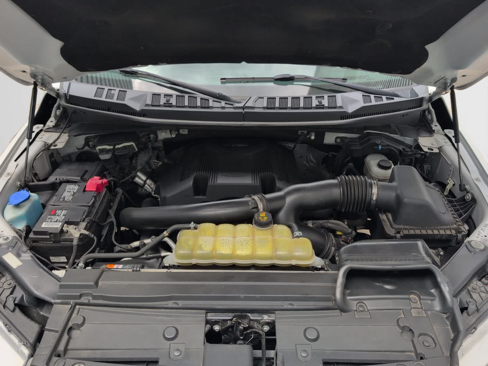 used 2019 Ford F-150 car, priced at $29,998