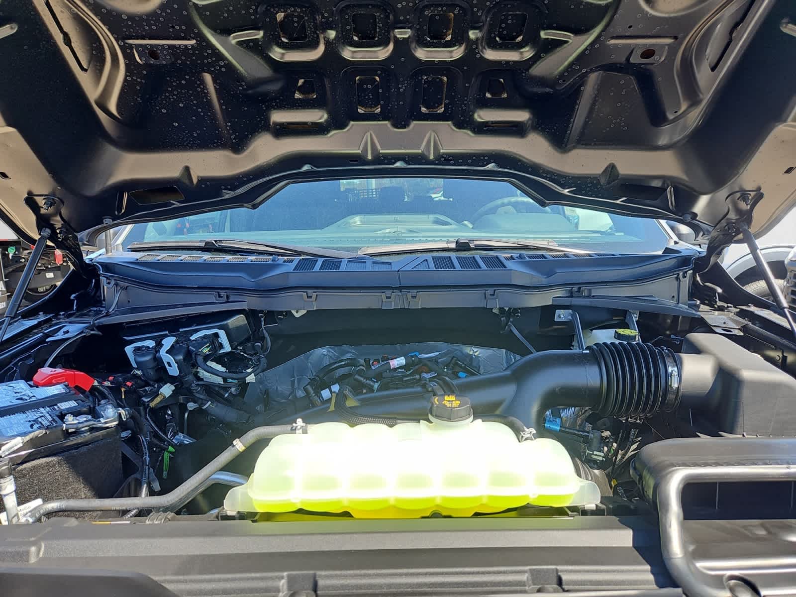 new 2025 Ford F-150 car, priced at $49,334