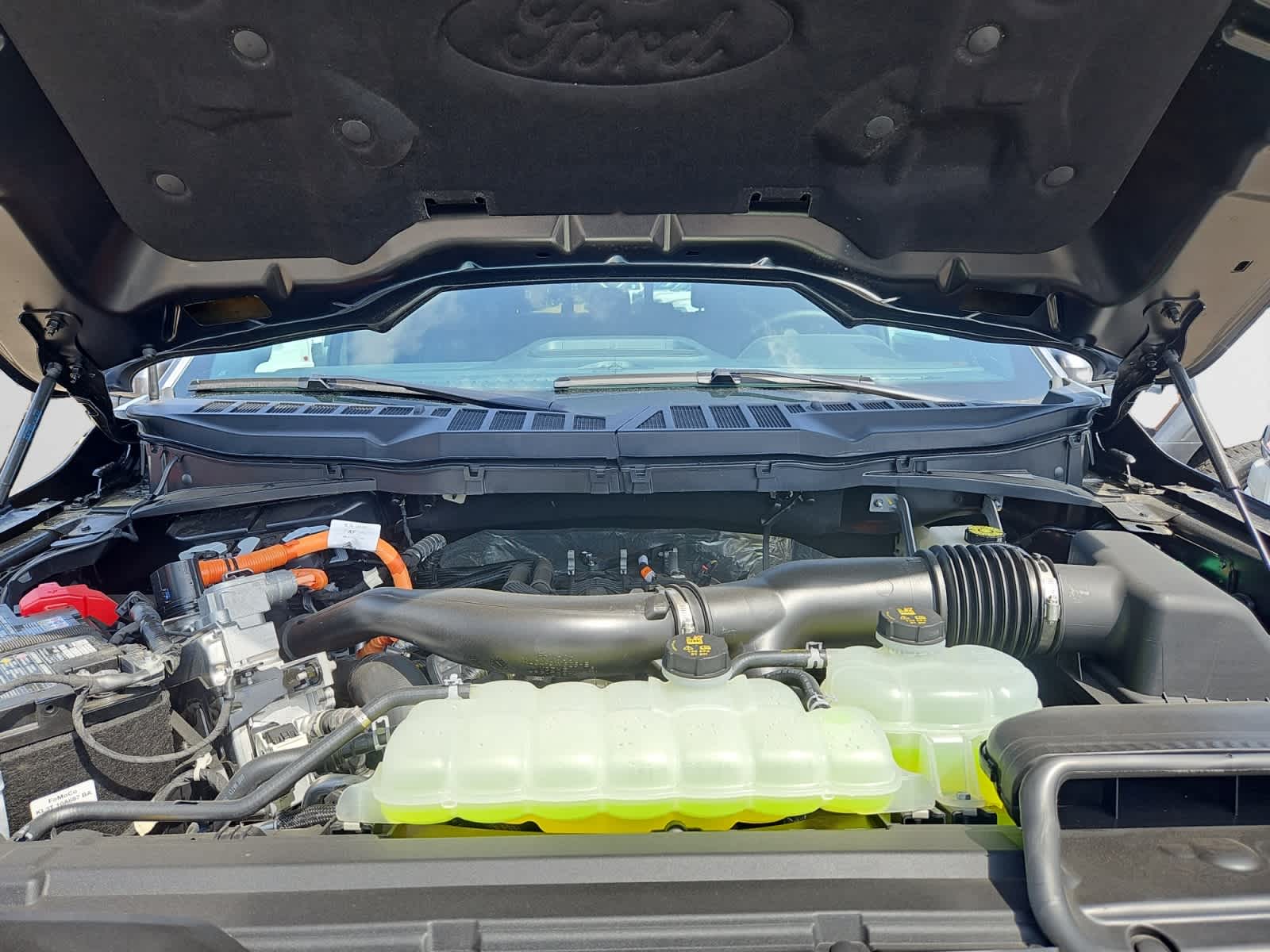 new 2025 Ford F-150 car, priced at $65,559