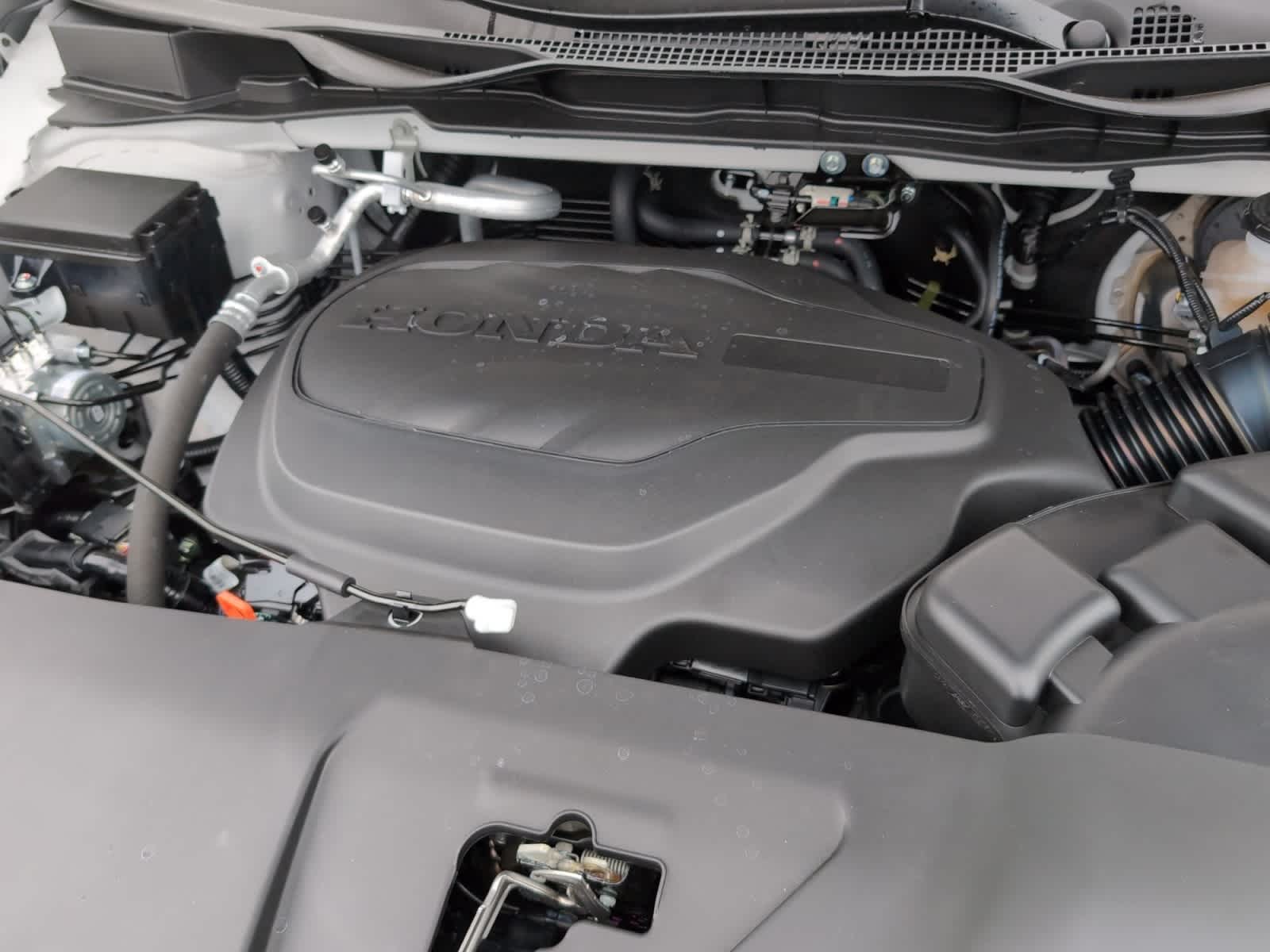 new 2025 Honda Odyssey car, priced at $44,125
